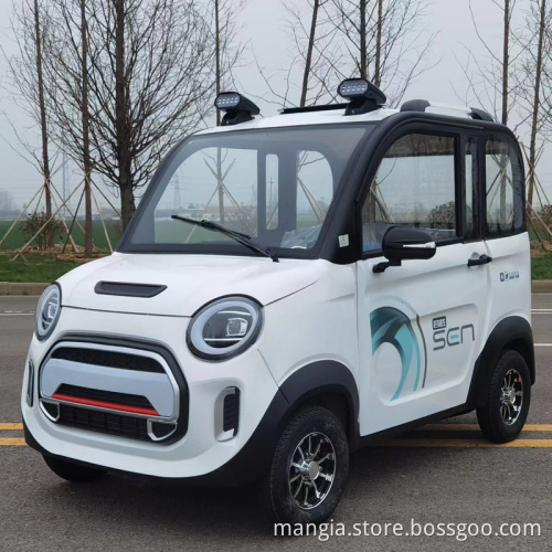 2023 new energy electric car Totoro low price adult driving mini 4-Wheel electric car high quality new car for sale